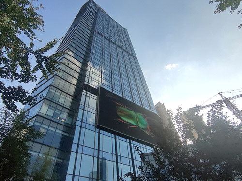 建筑幕墻貼膜規范技術方案